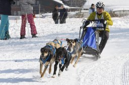 Lenk 2012 SM